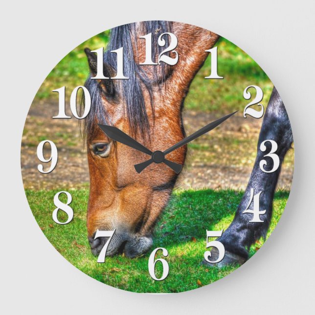 Grazing Bay Pony Equine Photo Horse-lovers Large Clock (Front)