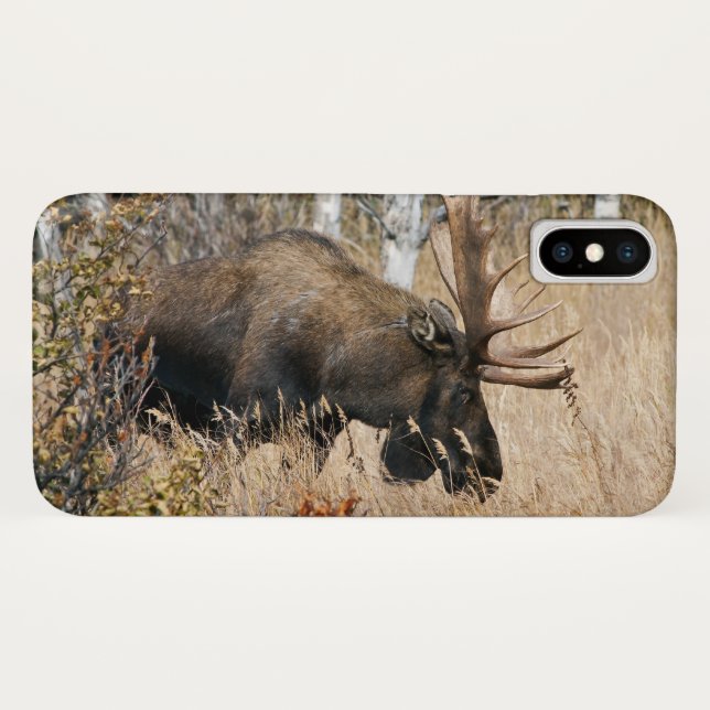 Grazing Bull Moose Case-Mate iPhone Case (Back (Horizontal))