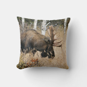 Grazing Bull Moose Cushion