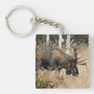 Grazing Bull Moose Key Ring