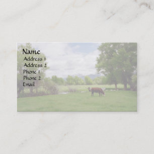 Grazing Cattle v3 Business Card