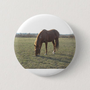 Grazing Chestnut Colour Horse 6 Cm Round Badge