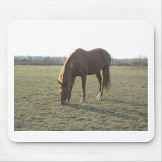 Grazing Chestnut Colour Horse Mouse Pad