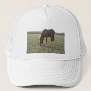 Grazing Chestnut Colour Horse Trucker Hat