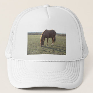 Grazing Chestnut Colour Horse Trucker Hat