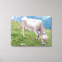 Grazing cow view canvas print