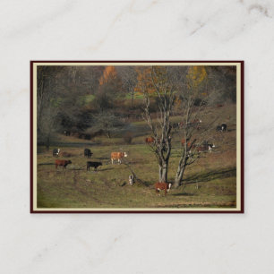 Grazing Cows ATC Business Card