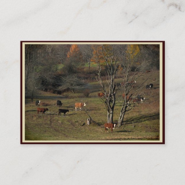 Grazing Cows ATC Business Card (Front)