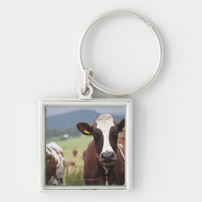 Grazing cows key ring (Front)