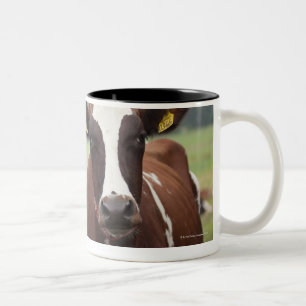 Grazing cows Two-Tone coffee mug