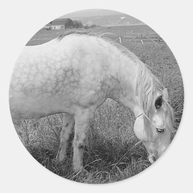 Grazing Dappled Grey Classic Round Sticker (Front)