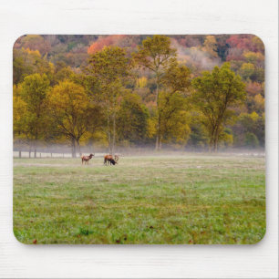 Grazing Elk Couple Mousepad
