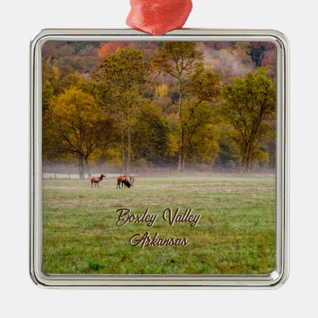 Grazing Elk Couple Premium Square Ornament (Front)