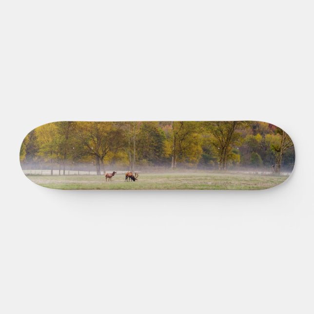 Grazing Elk Couple Skateboard (Horz)