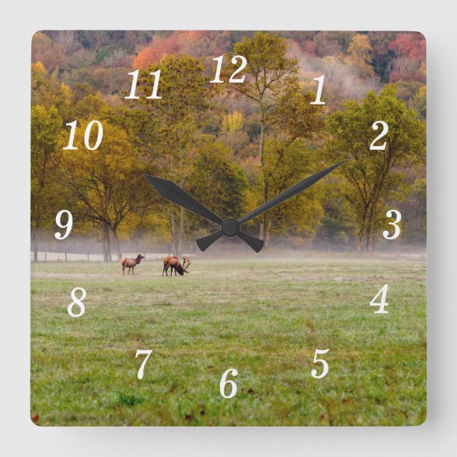 Grazing Elk Couple Wall Clock (Front)