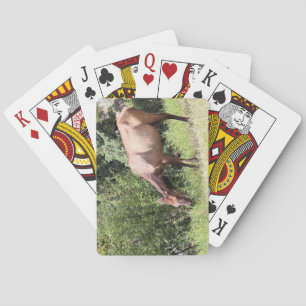 Grazing Elk, Mammoth Springs, Yellowstone Playing Cards