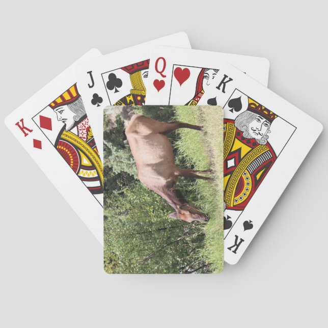 Grazing Elk, Mammoth Springs, Yellowstone Playing Cards (Back)