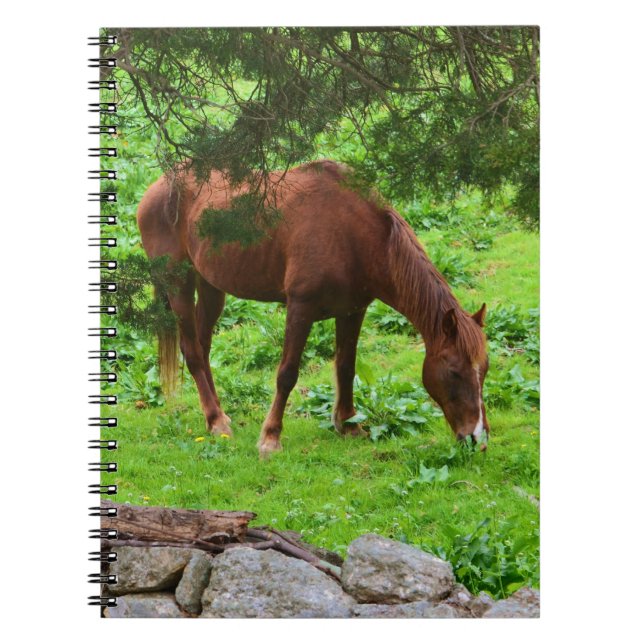Grazing Horse Notebook (Front)