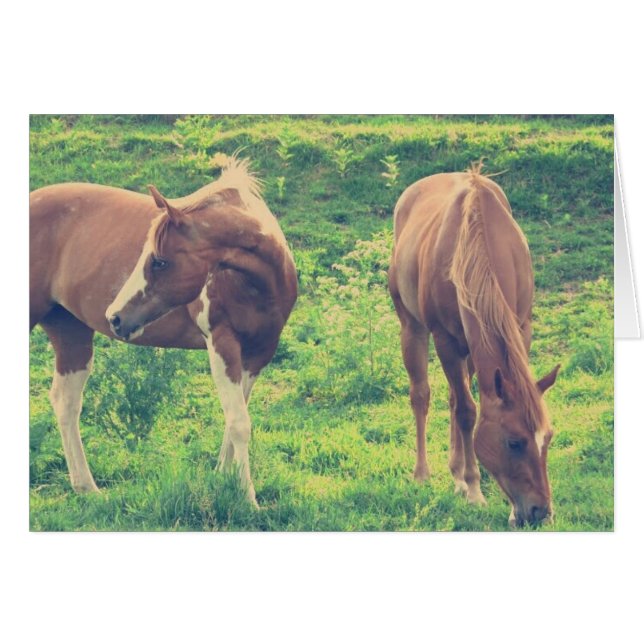 Grazing Horses (Front Horizontal)