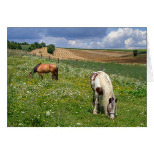 Grazing Horses