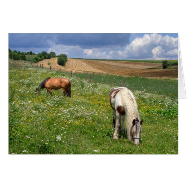 Grazing Horses (Front Horizontal)