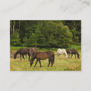 Grazing Horses ATC Business Card