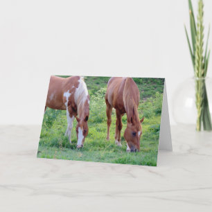 Grazing Horses Card