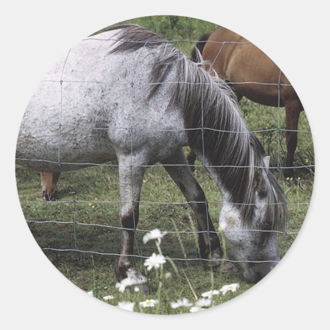 Grazing Horses Classic Round Sticker (Front)