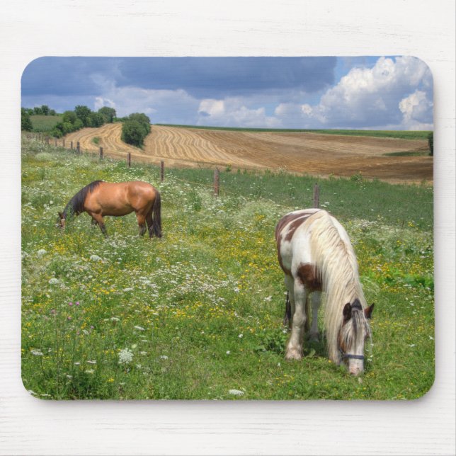 Grazing Horses Mouse Pad (Front)