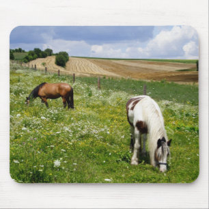 Grazing horses mouse pad