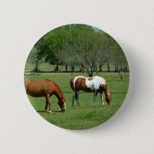Grazing Horses Scene 6 Cm Round Badge
