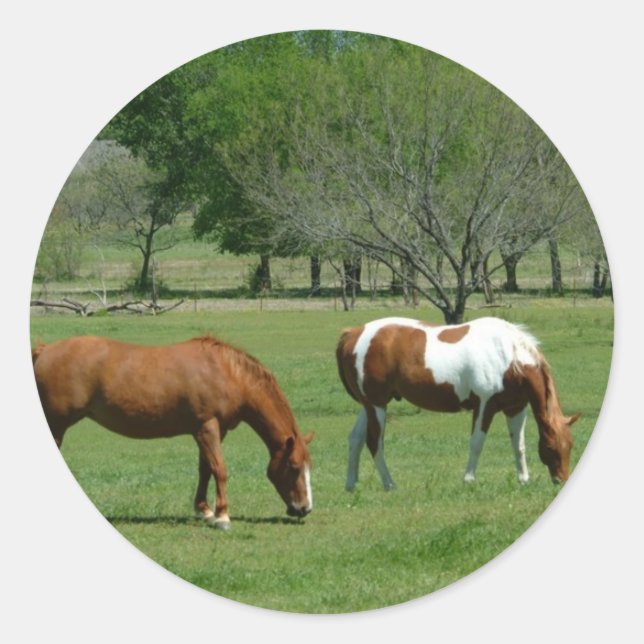 Grazing Horses Scene Classic Round Sticker (Front)