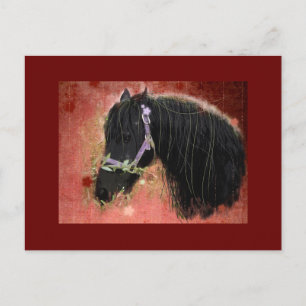 Grazing in the fields - Postcard