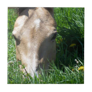 Grazing In The Grass Tile