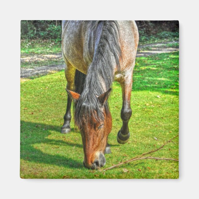 Grazing New Forest Pony Wildlife Magnet (Front)