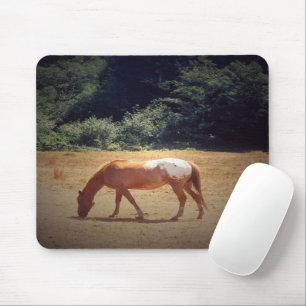 Grazing Palomino.... Mouse Pad