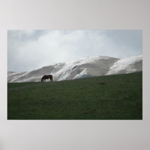 Grazing Poster