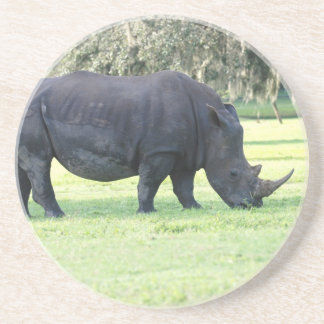 Grazing Rhino Coaster