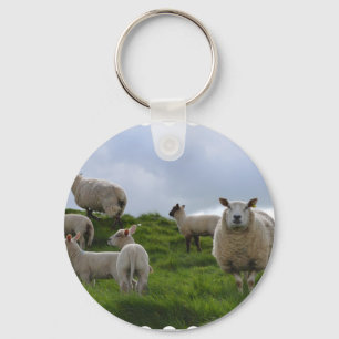 Grazing Sheep Key Ring