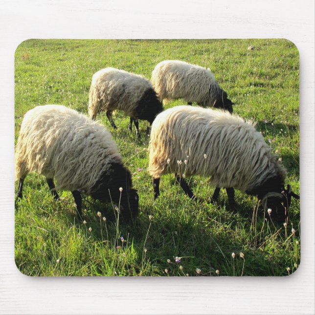 Grazing Sheep Mouse Pad (Front)