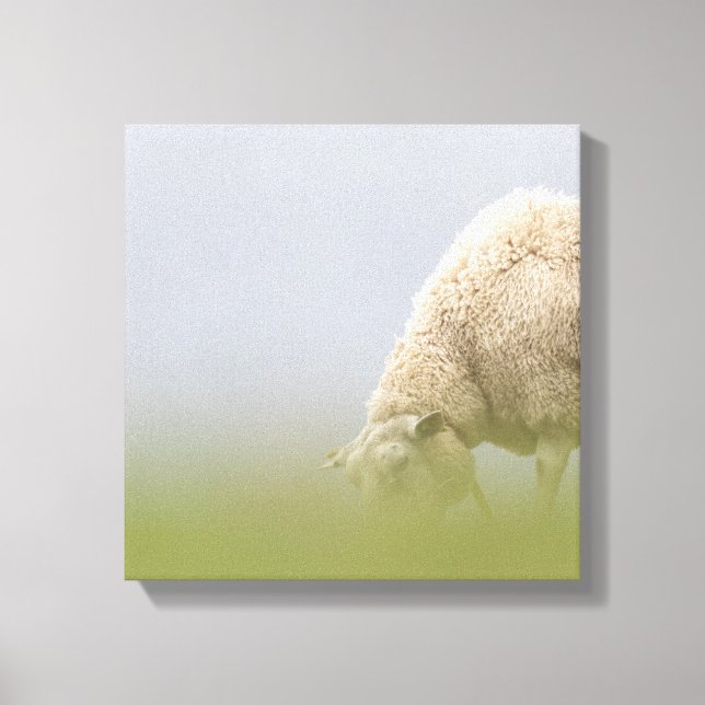 Grazing Sheep Nature Photo Canvas Print (Front)