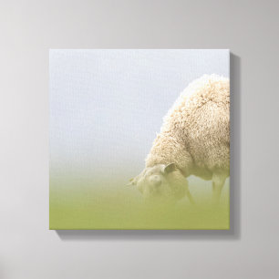 Grazing Sheep Photo Canvas Print