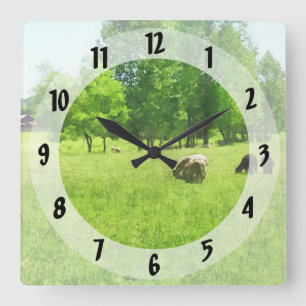 Grazing Sheep Square Wall Clock