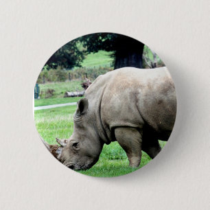 Grazing White Rhino  Button
