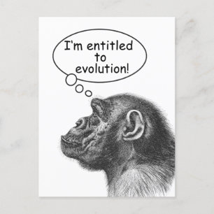Great Ape Evolution Entitlement Postcard