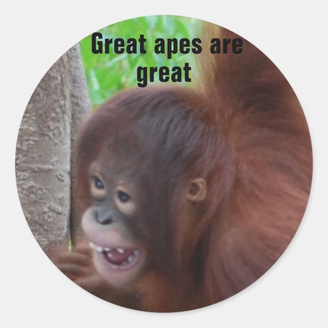 Great Apes are Great Classic Round Sticker (Front)