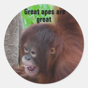 Great Apes are Great Classic Round Sticker