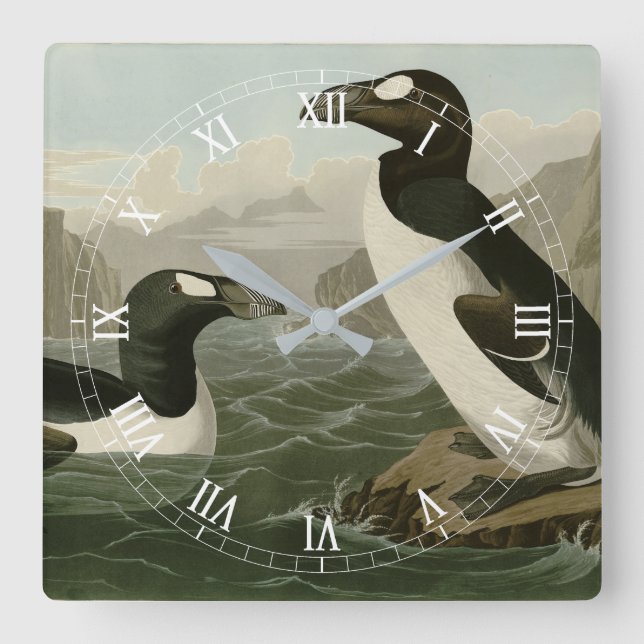 Great Auk - John James Audubon's Birds of America Square Wall Clock (Front)