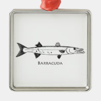 Great Barracuda Logo