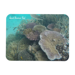 great barrier coral magnet